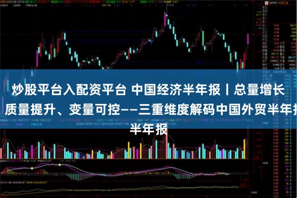炒股平台入配资平台 中国经济半年报丨总量增长、质量提升、变量可控——三重维度解码中国外贸半年报